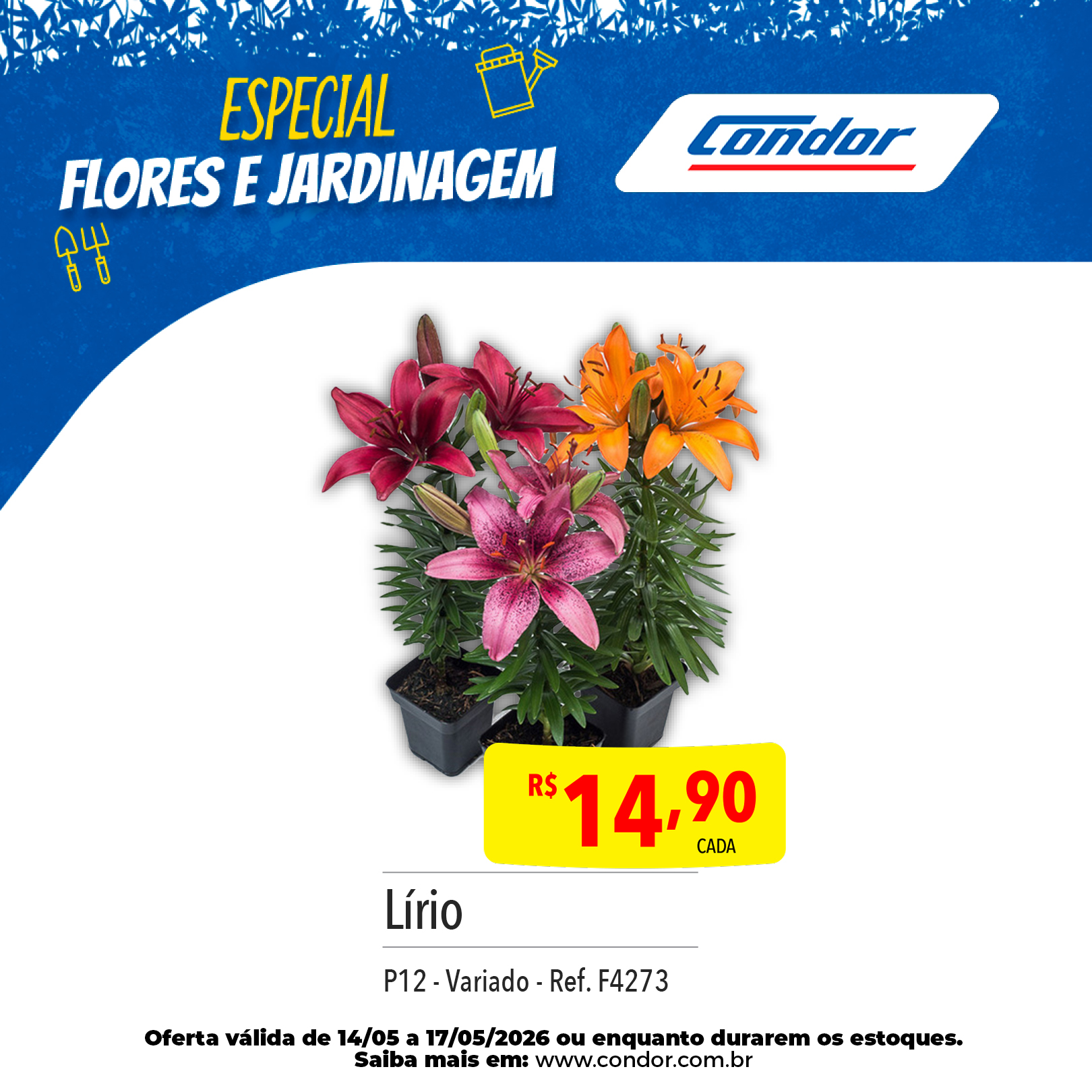 1618_CARROSSEL_ESPECIAL BAZAR E JARDINAGEM_OFERTAS_WEB_14-05 a 17-05-20263