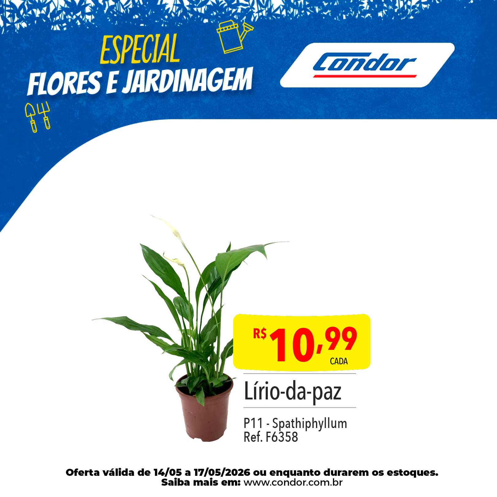 1618_CARROSSEL_ESPECIAL BAZAR E JARDINAGEM_OFERTAS_WEB_14-05 a 17-05-20264