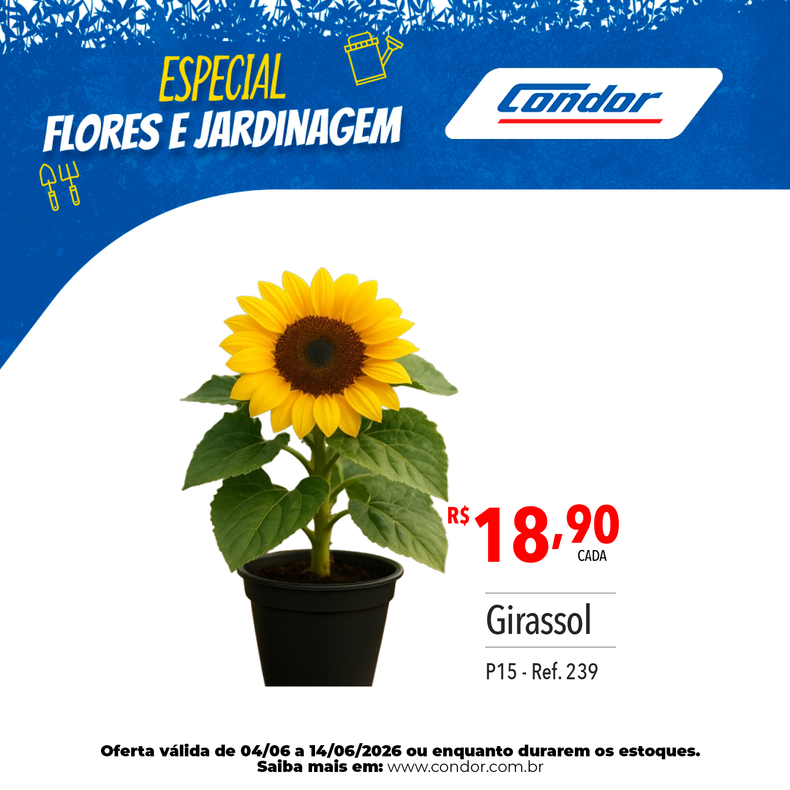 2019_CARROSSEL_ESPECIAL BAZAR E JARDINAGEM_OFERTAS_WEB_04-06 a 14-06-20265