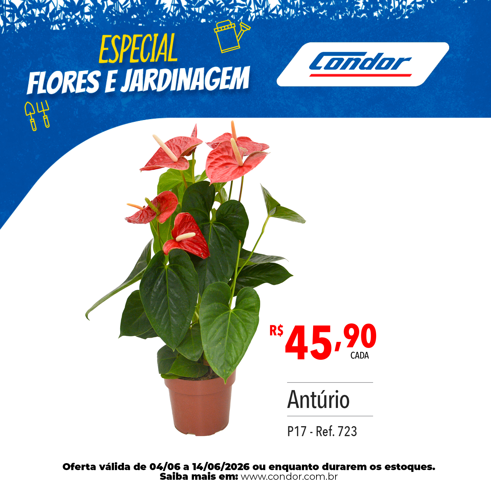 2019_CARROSSEL_ESPECIAL BAZAR E JARDINAGEM_OFERTAS_WEB_04-06 a 14-06-20267